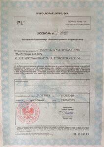 Licencja UE